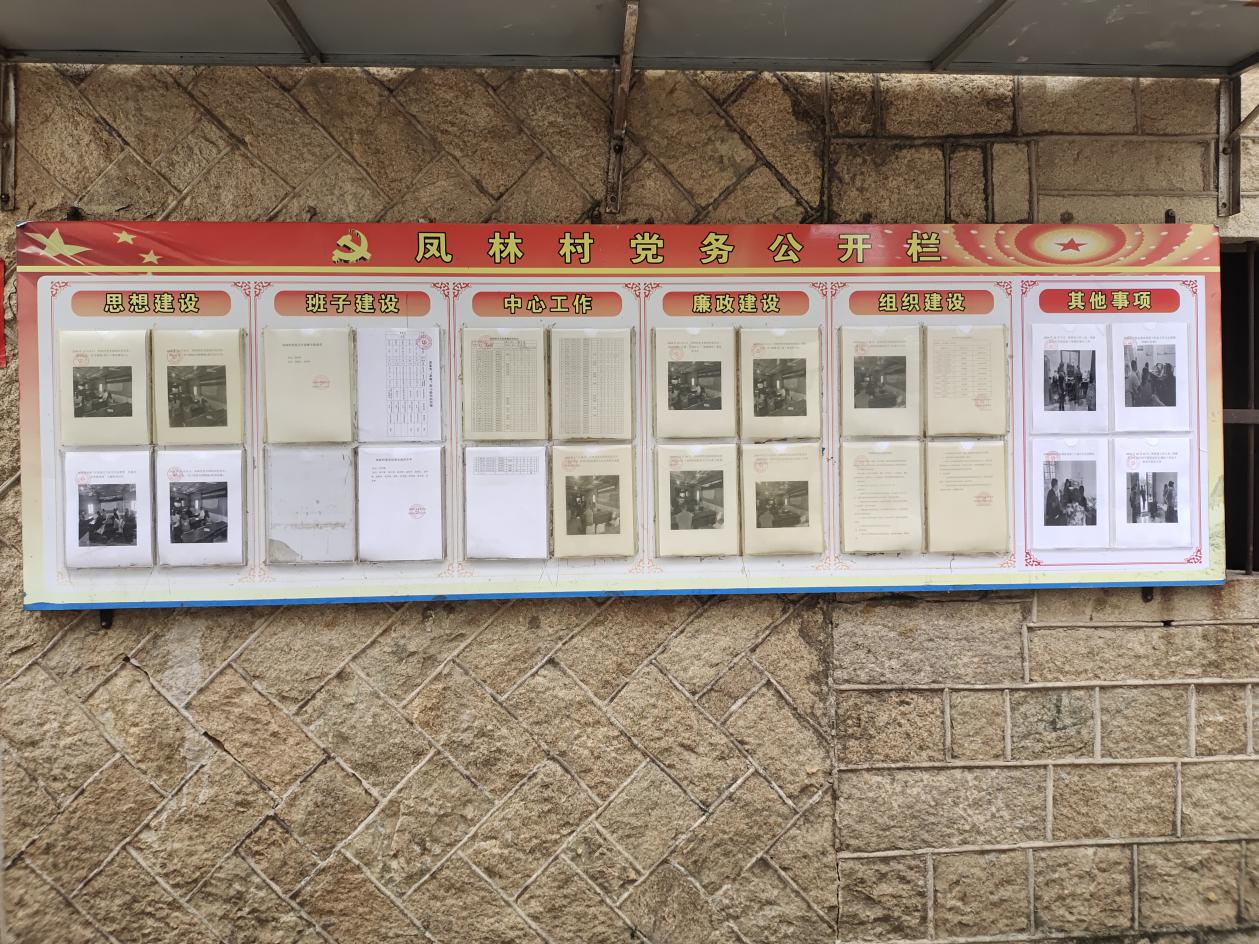 凤林村图片3