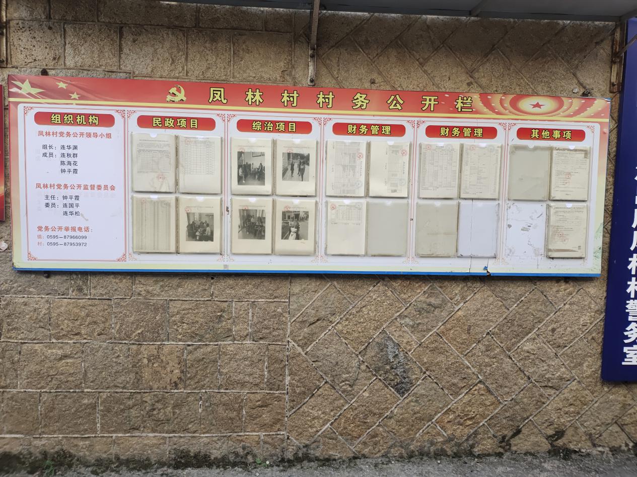 凤林村图片4